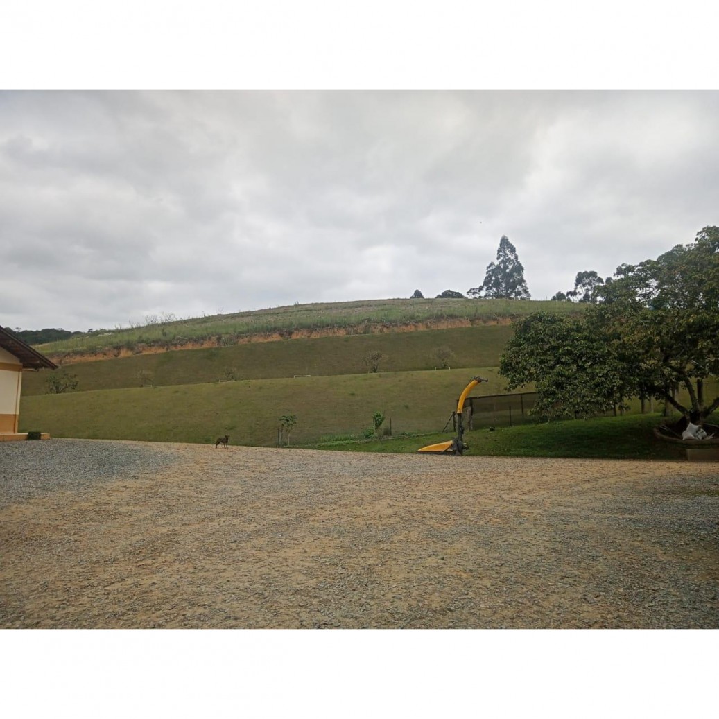 Fazenda à venda com 4 quartos, 1130000m² - Foto 2