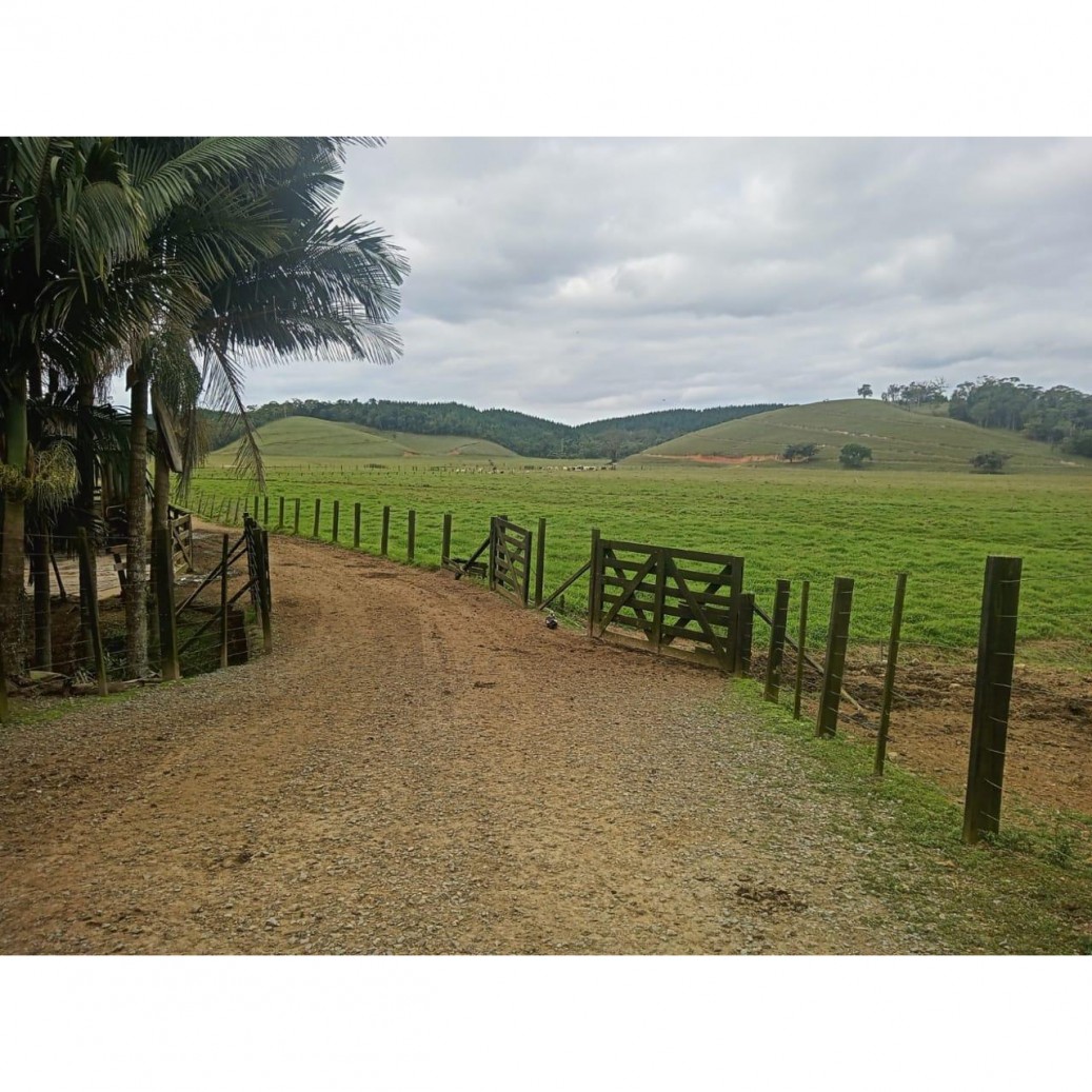 Fazenda à venda com 4 quartos, 1130000m² - Foto 15