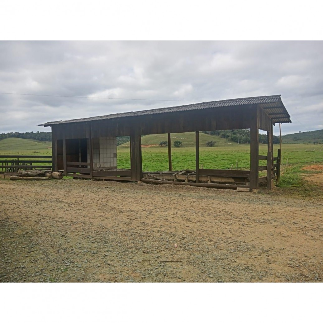 Fazenda à venda com 4 quartos, 1130000m² - Foto 16