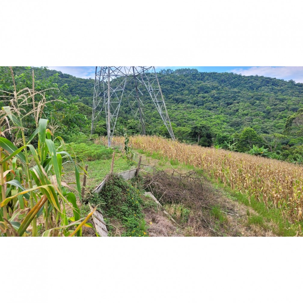 Fazenda à venda com 3 quartos, 7000m² - Foto 16