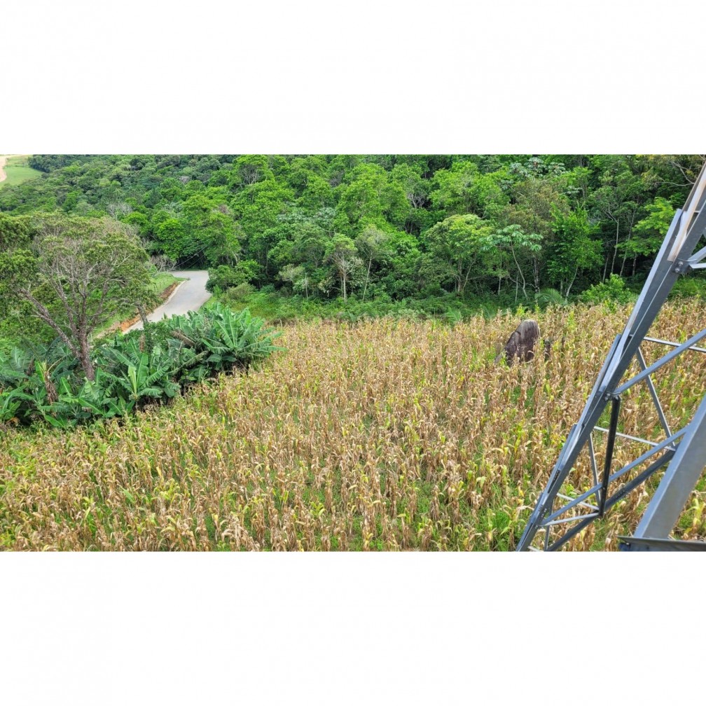 Fazenda à venda com 3 quartos, 7000m² - Foto 17