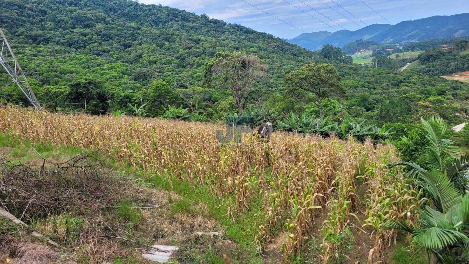 Fazenda à venda com 3 quartos, 7000m² - Foto 27