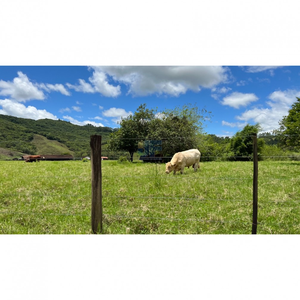 Fazenda à venda, 2000000m² - Foto 1