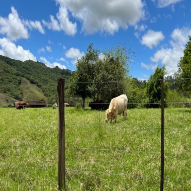 EXCELENTE FAZENDA A VENDA EM TIJUCAS GRANDE FLORIANÓPOLIS