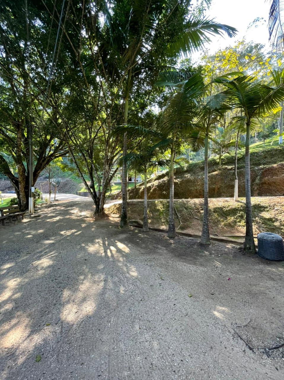 Apartamento, 7 quartos, 310000 m² - Foto 2