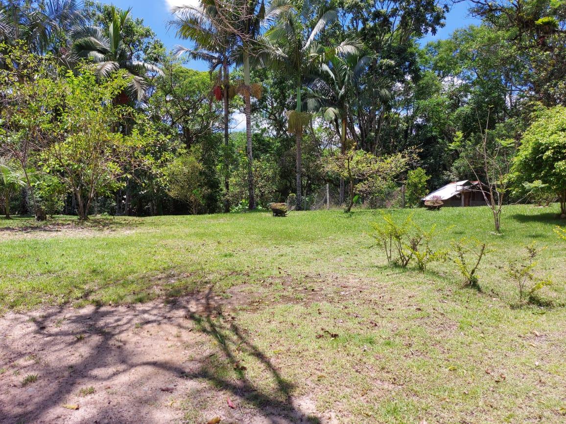 Fazenda à venda com 2 quartos, 10000m² - Foto 12