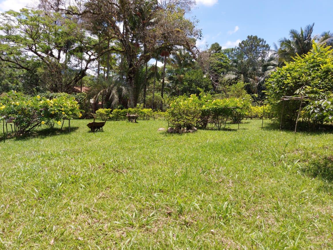 Fazenda à venda com 2 quartos, 10000m² - Foto 17