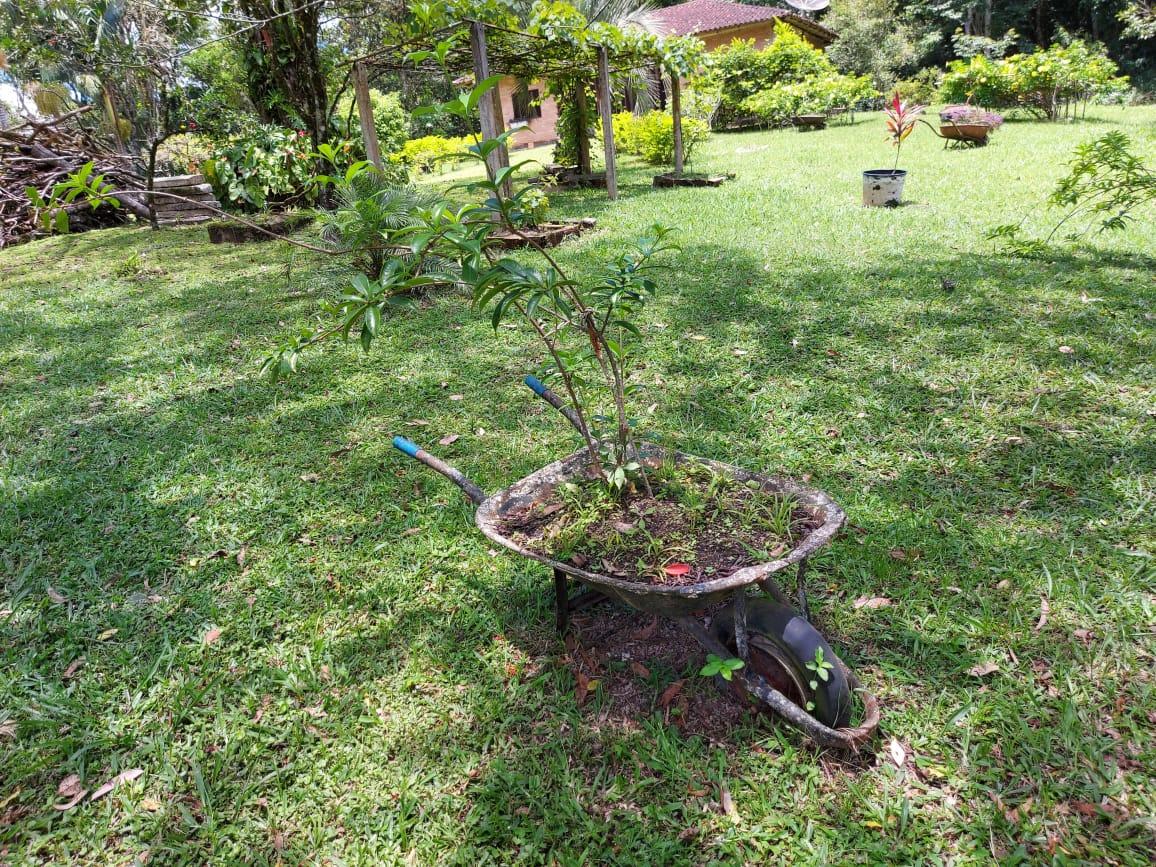 Fazenda à venda com 2 quartos, 10000m² - Foto 25