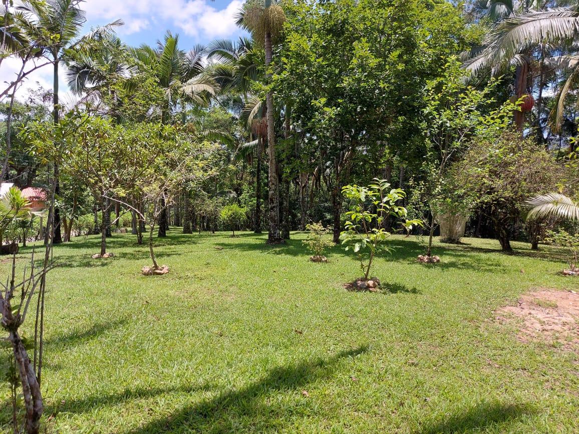 Fazenda à venda com 2 quartos, 10000m² - Foto 4