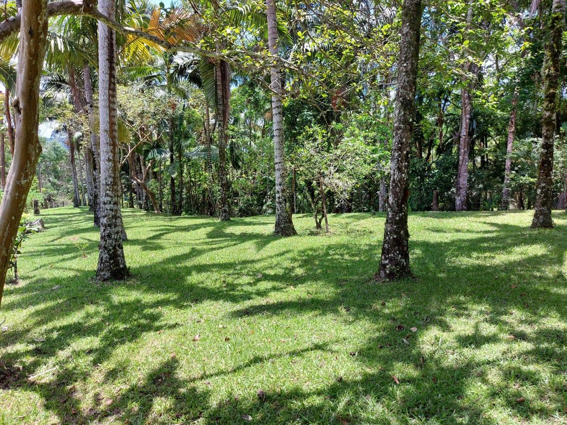 Fazenda à venda com 2 quartos, 10000m² - Foto 7