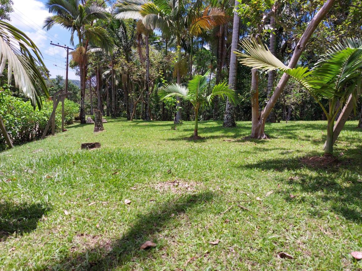 Fazenda à venda com 2 quartos, 10000m² - Foto 9