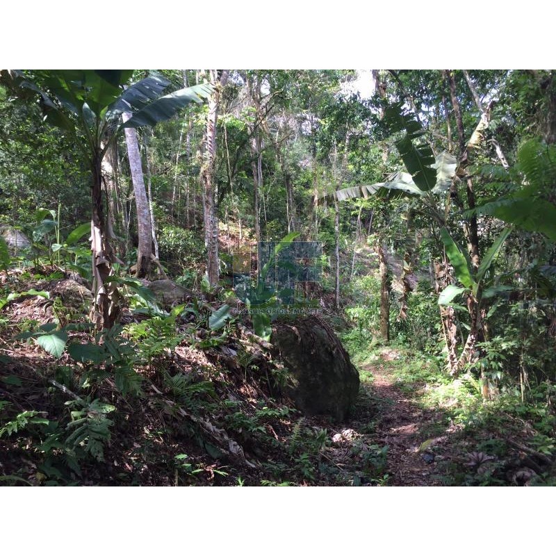 Fazenda à venda, 51000m² - Foto 4