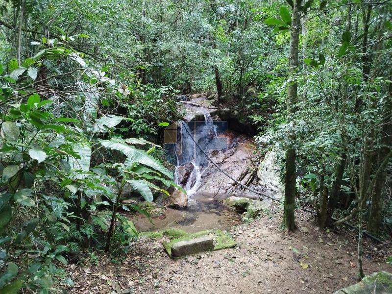 Fazenda à venda com 2 quartos, 16794m² - Foto 16