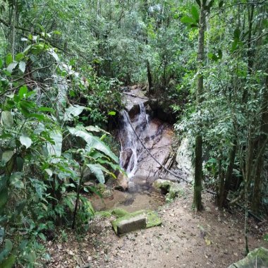 Oportunidade de compra de sítio no Cedro em Camboriú. 