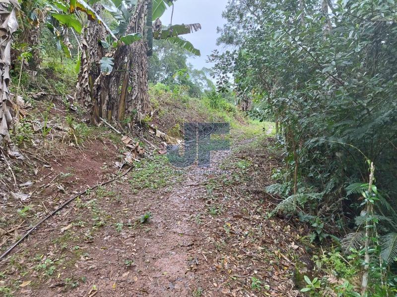 Fazenda à venda com 2 quartos, 16794m² - Foto 8