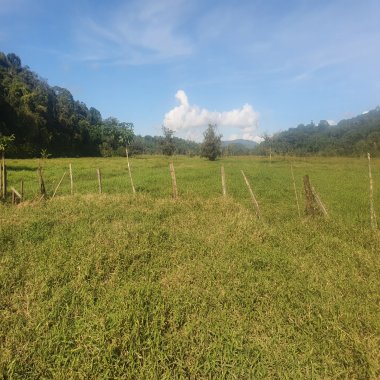 Excelente oportunidade de investimento! Fazenda à venda em Luiz Alves/SC.