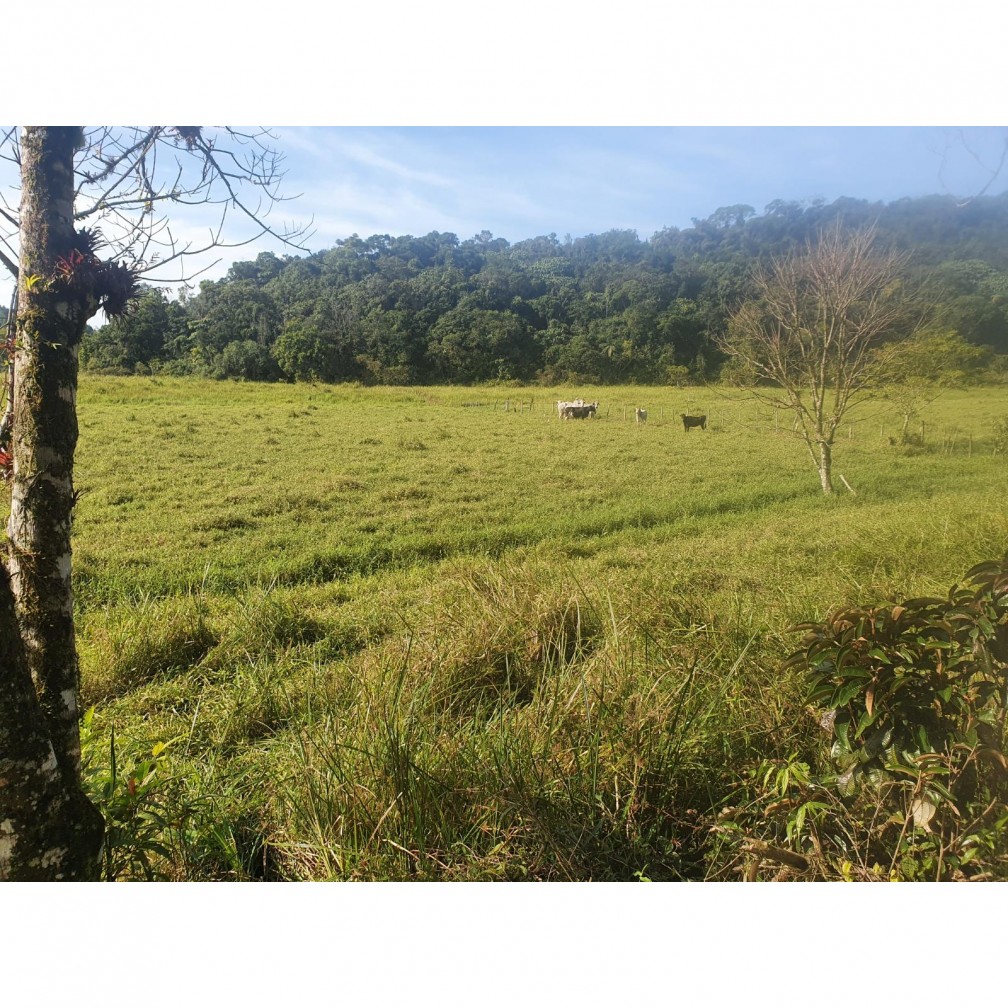 Fazenda à venda, 660000m² - Foto 5