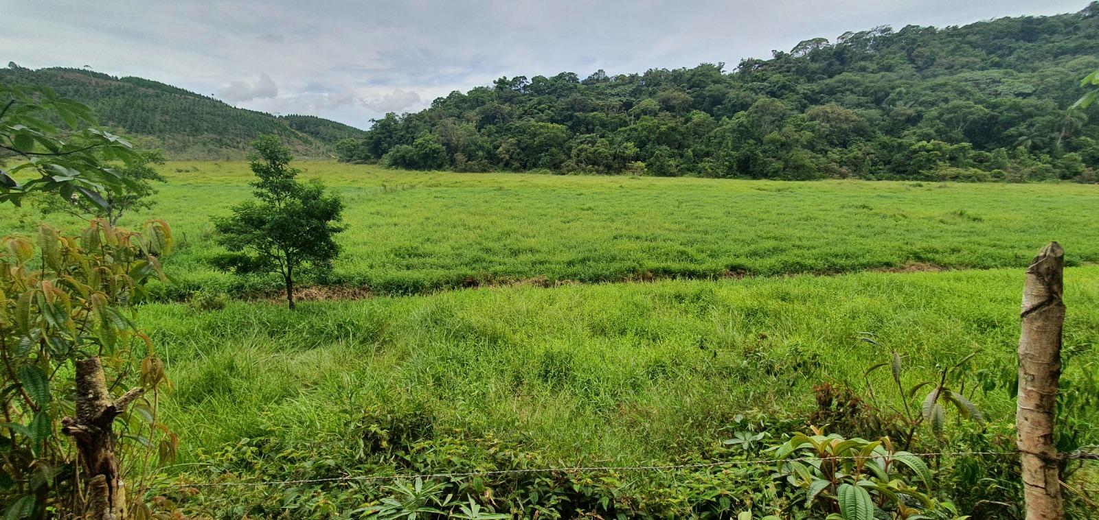 Fazenda à venda, 660000m² - Foto 9