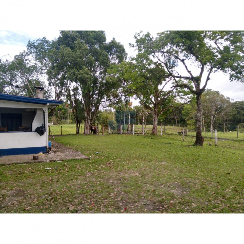 Fazenda, 62000 hectares - Foto 10