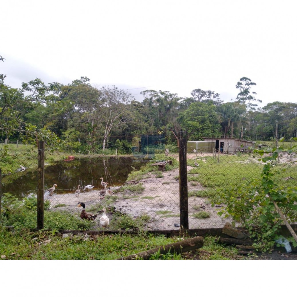 Fazenda, 62000 hectares - Foto 11
