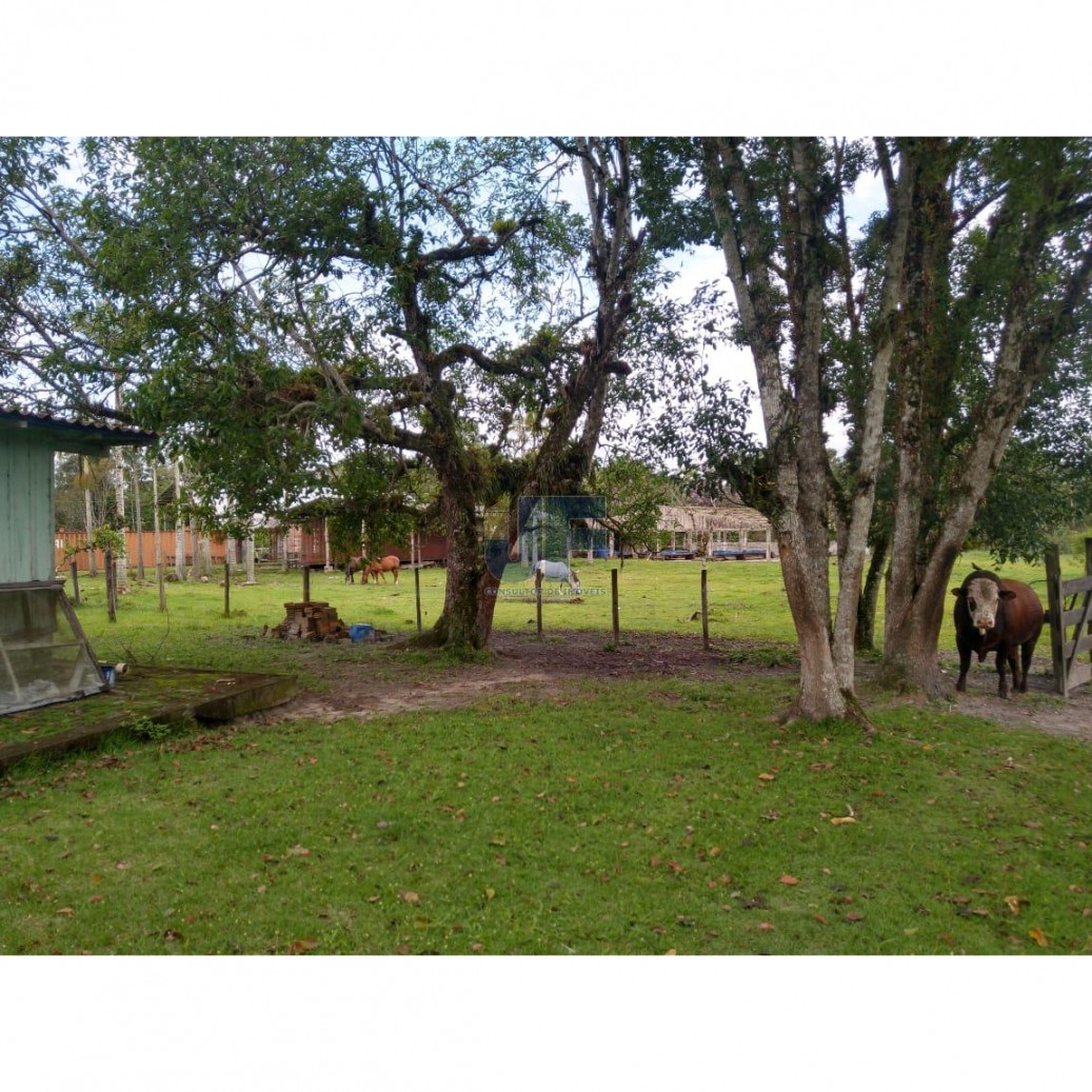 Fazenda, 62000 hectares - Foto 12