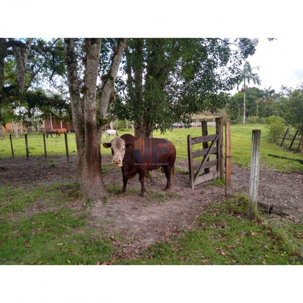 Fazenda, 62000 hectares - Foto 13