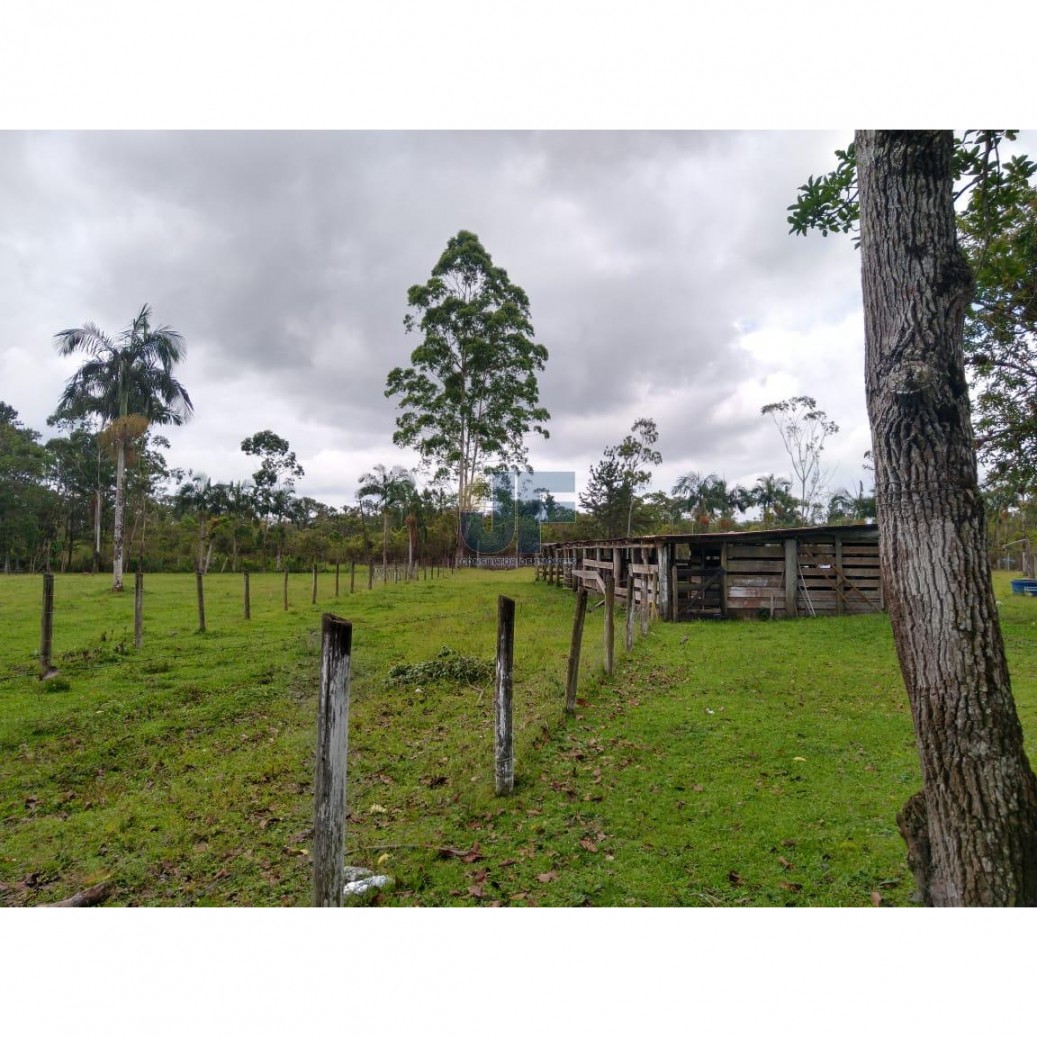 Fazenda, 62000 hectares - Foto 16