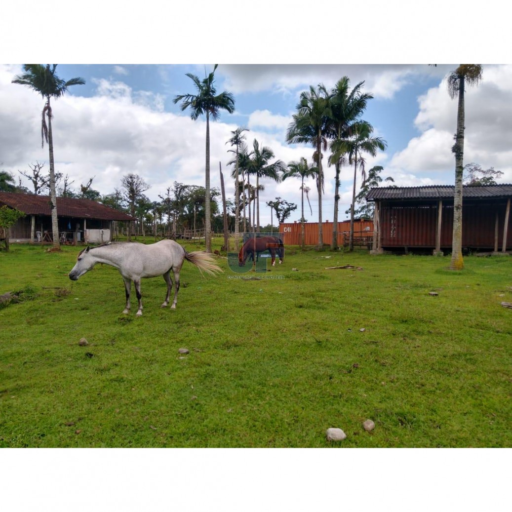 Fazenda à venda, 620000000m² - Foto 21