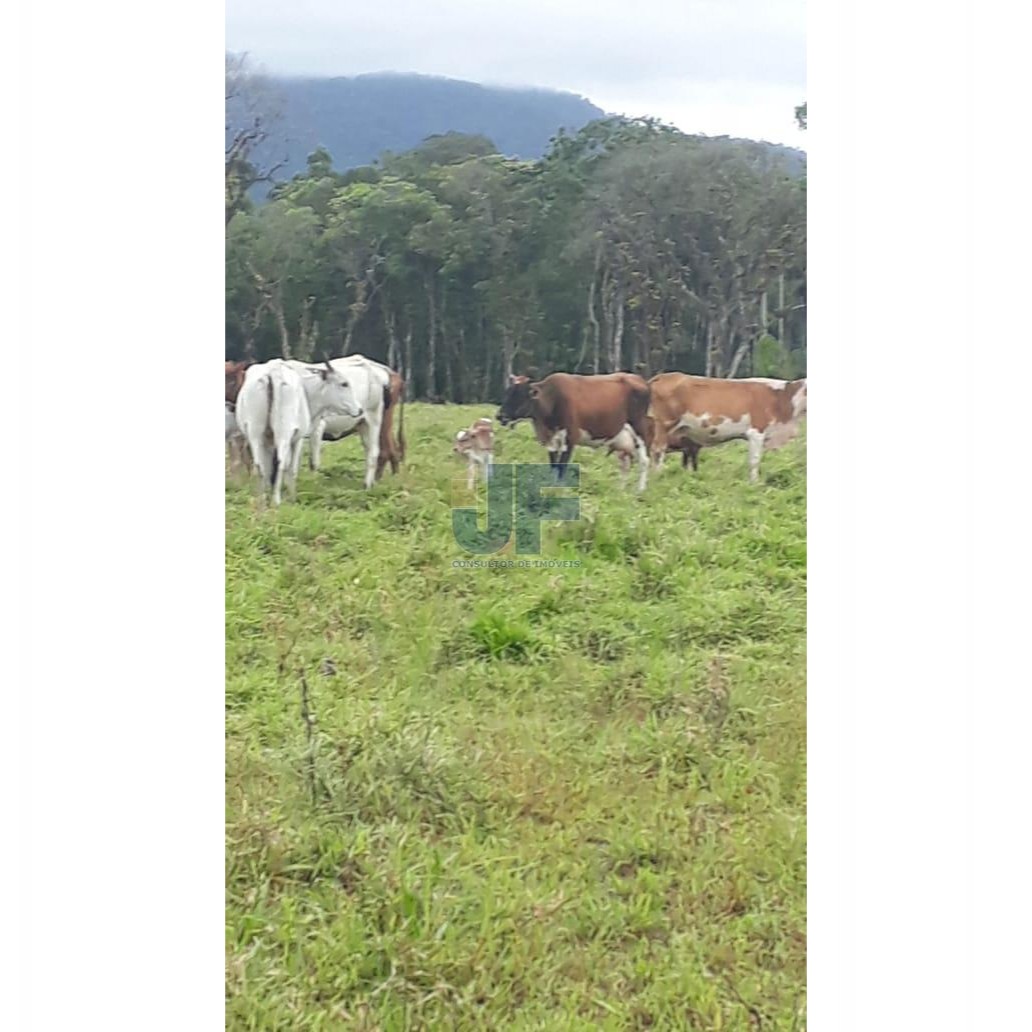 Fazenda, 62000 hectares - Foto 3