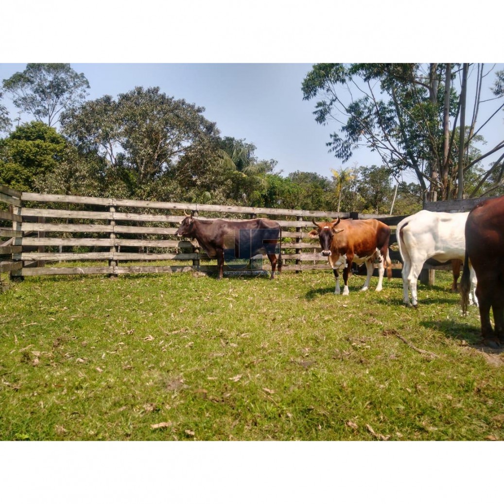 Fazenda à venda, 620000000m² - Foto 8