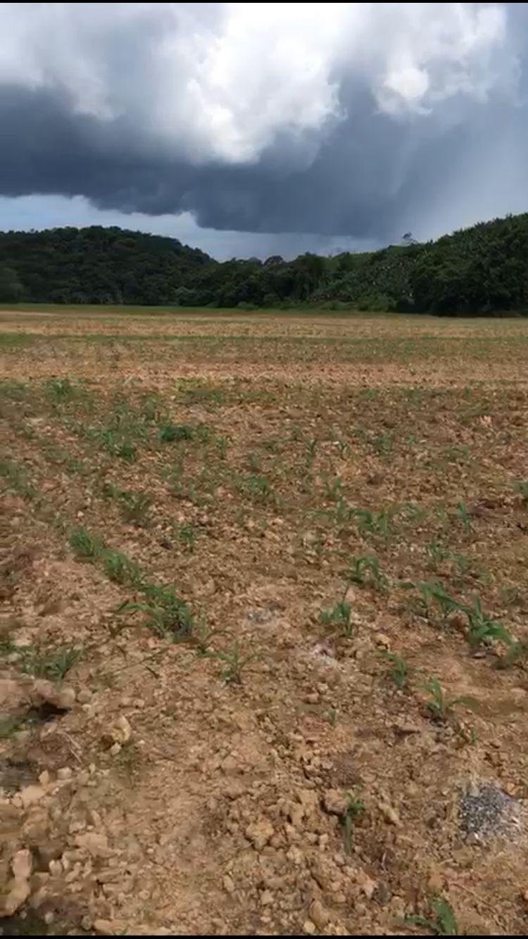 Fazenda à venda, 660000m² - Foto 7