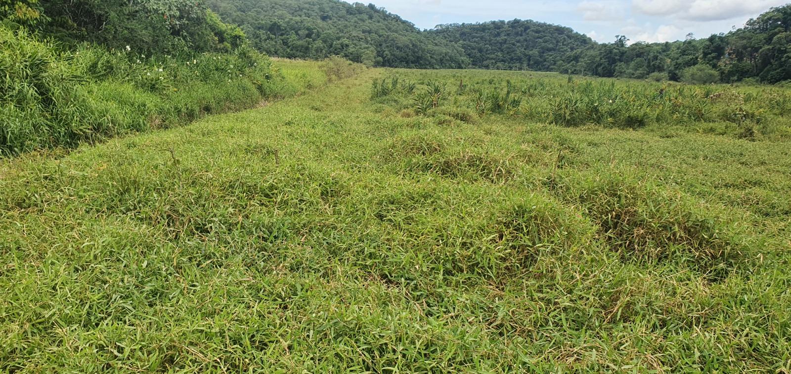 Fazenda à venda, 660000m² - Foto 8