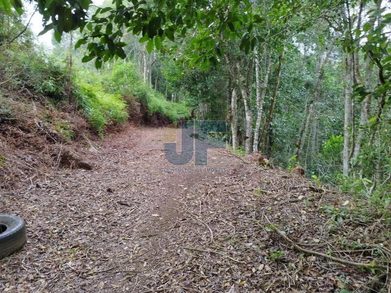 Fazenda à venda com 2 quartos, 16794m² - Foto 17