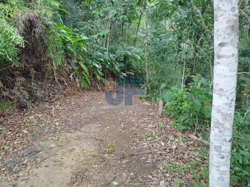 Fazenda à venda com 2 quartos, 16794m² - Foto 18