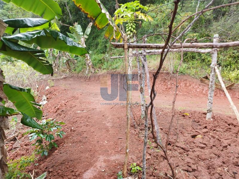 Fazenda à venda com 2 quartos, 16794m² - Foto 28