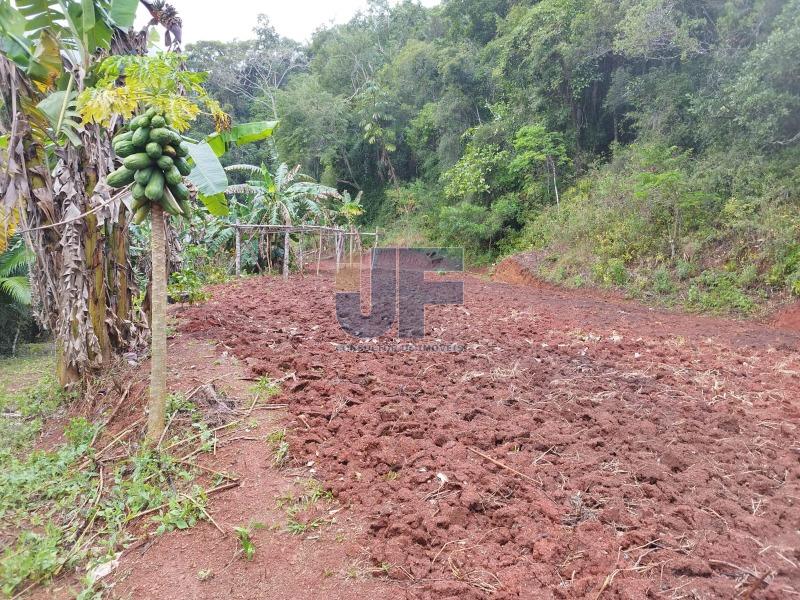 Fazenda à venda com 2 quartos, 16794m² - Foto 6