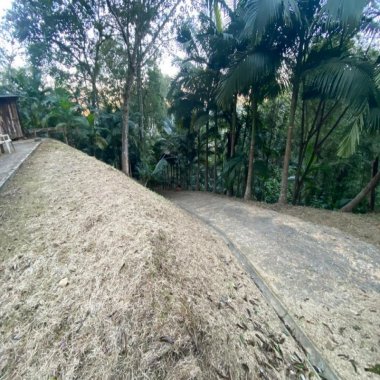 Linda área rural localizado Na Vila das Pedras em Camboriú. 