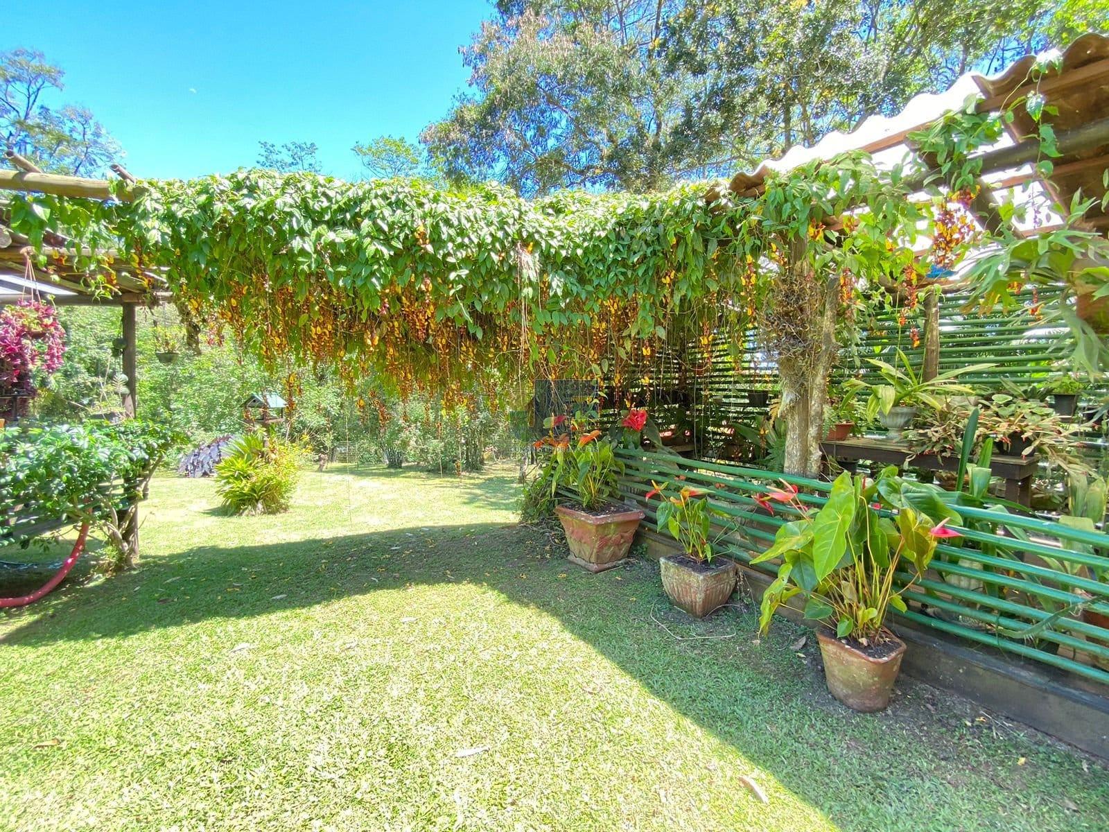 Fazenda à venda com 3 quartos, 130000m² - Foto 3