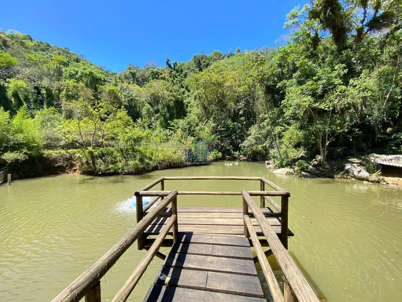 Fazenda à venda com 3 quartos, 130000m² - Foto 4