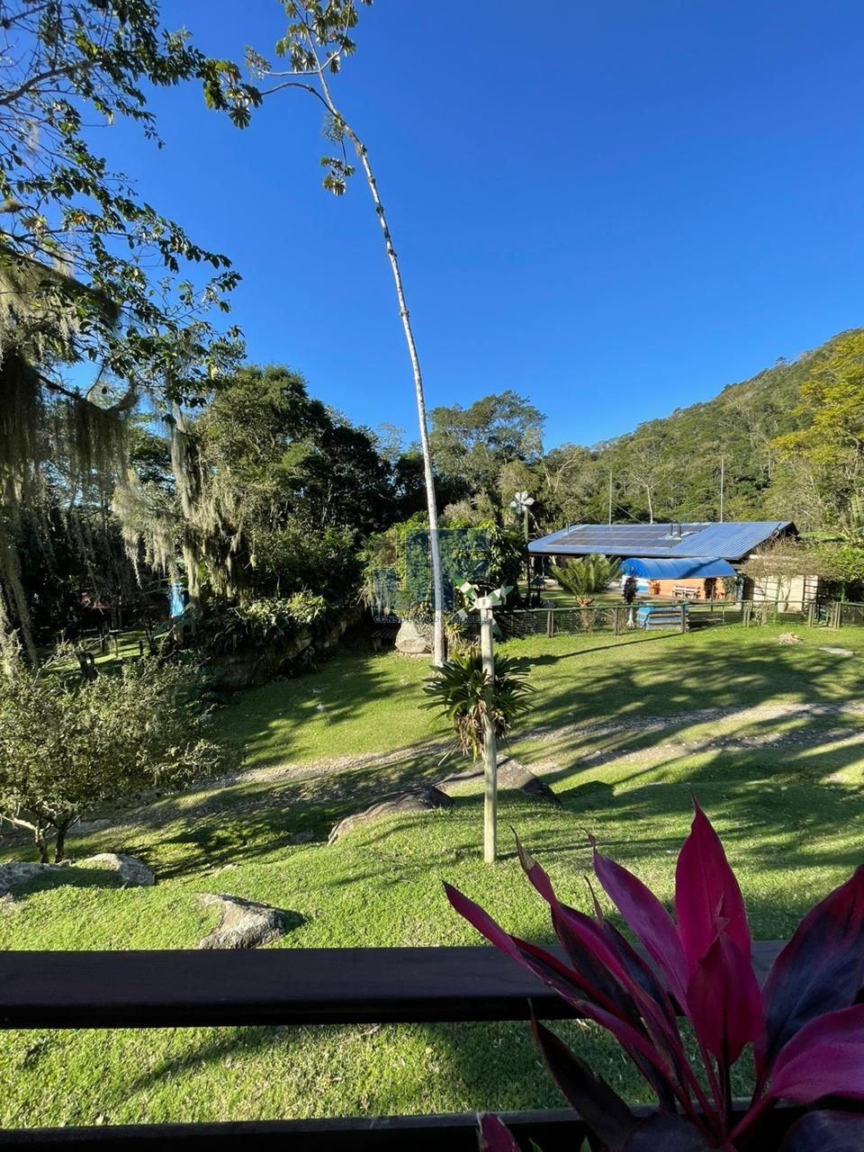 Fazenda à venda com 3 quartos, 130000m² - Foto 5