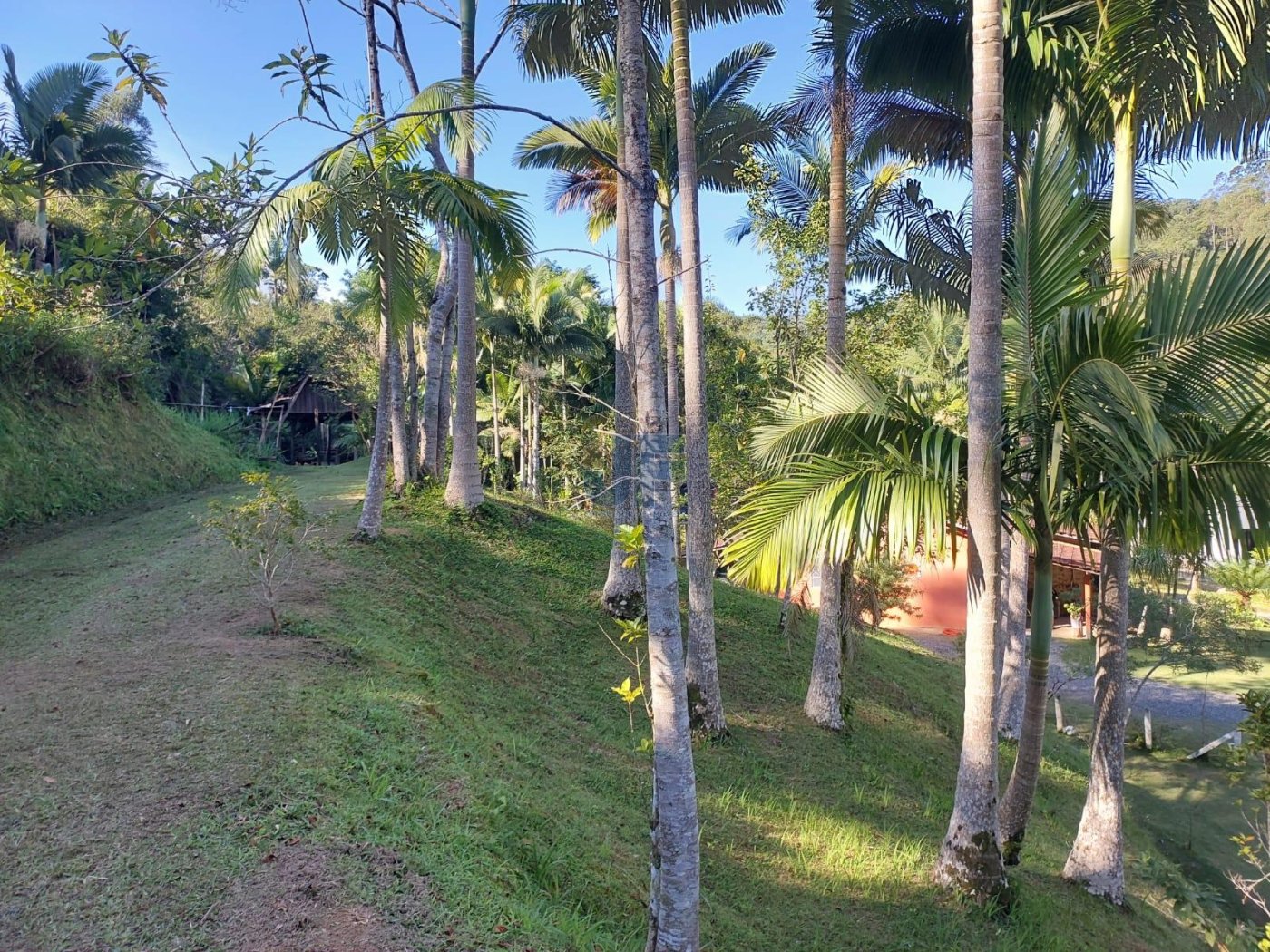 Sítio, 2 quartos, 18000 m² - Foto 10