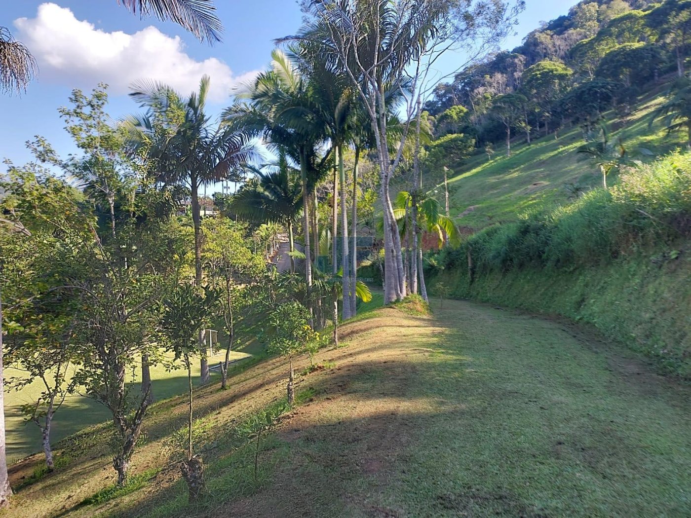 Sítio, 2 quartos, 18000 m² - Foto 11