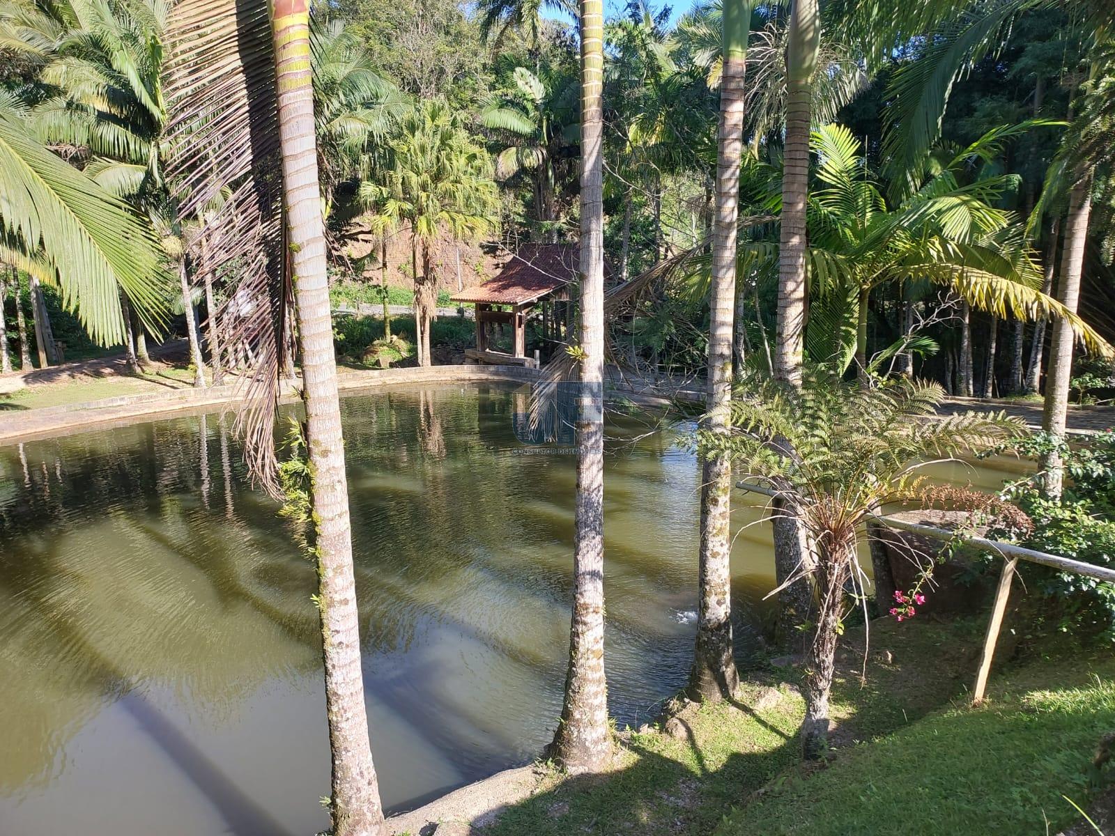 Fazenda à venda com 2 quartos, 18000m² - Foto 20