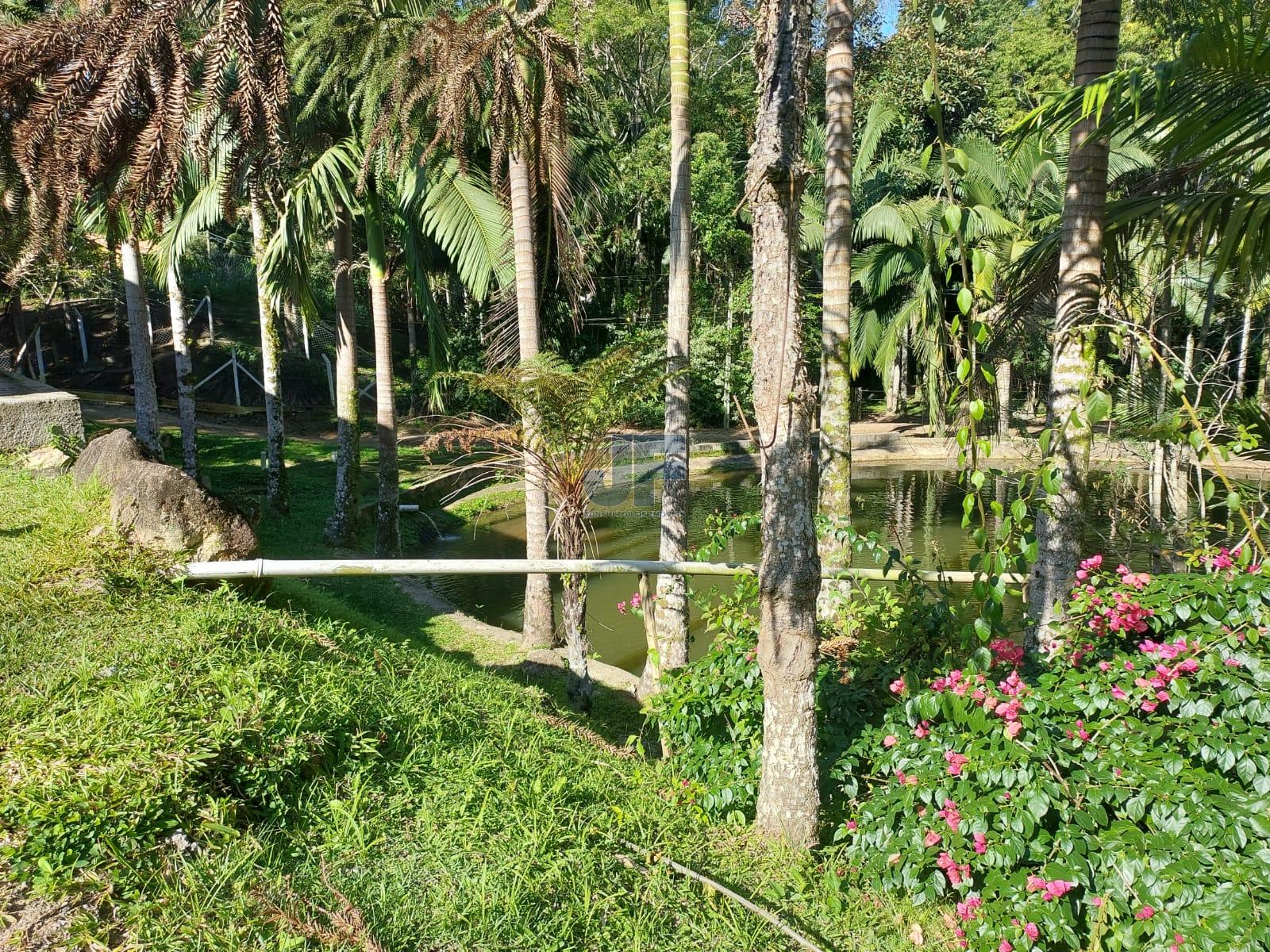 Fazenda à venda com 2 quartos, 18000m² - Foto 25