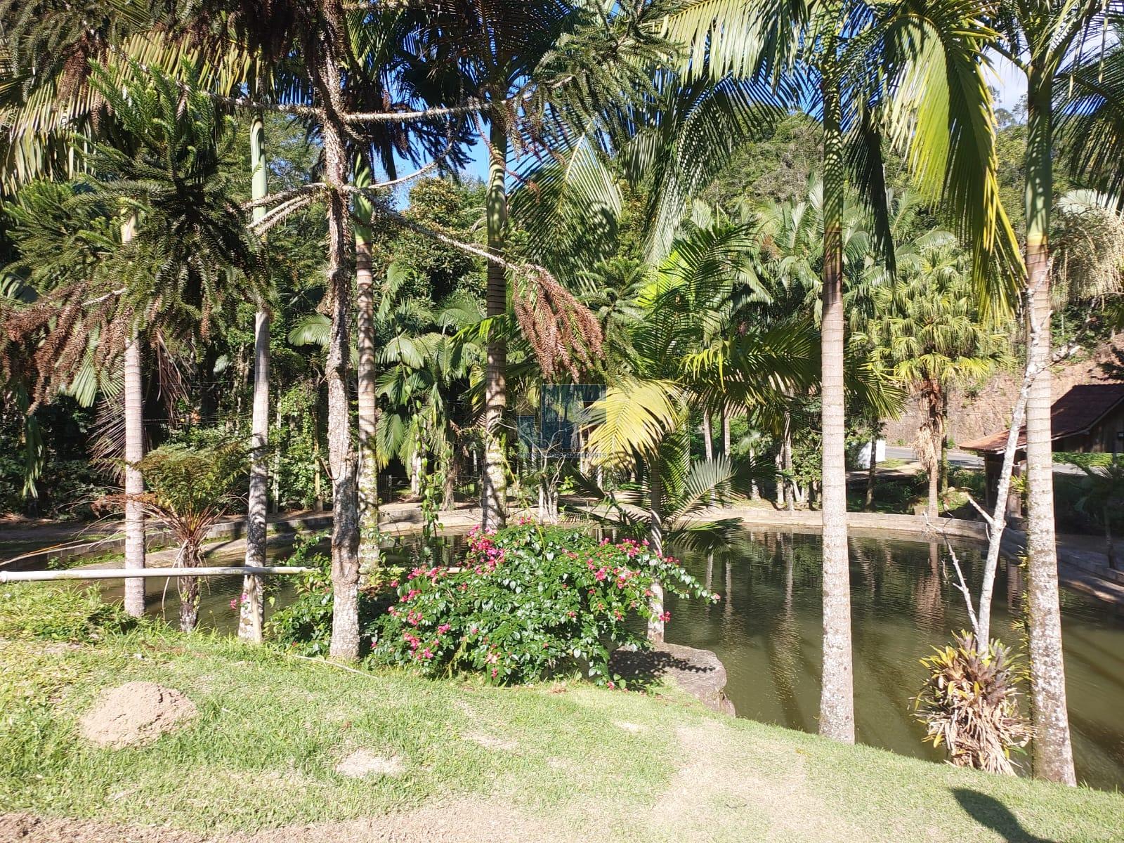 Fazenda à venda com 2 quartos, 18000m² - Foto 26