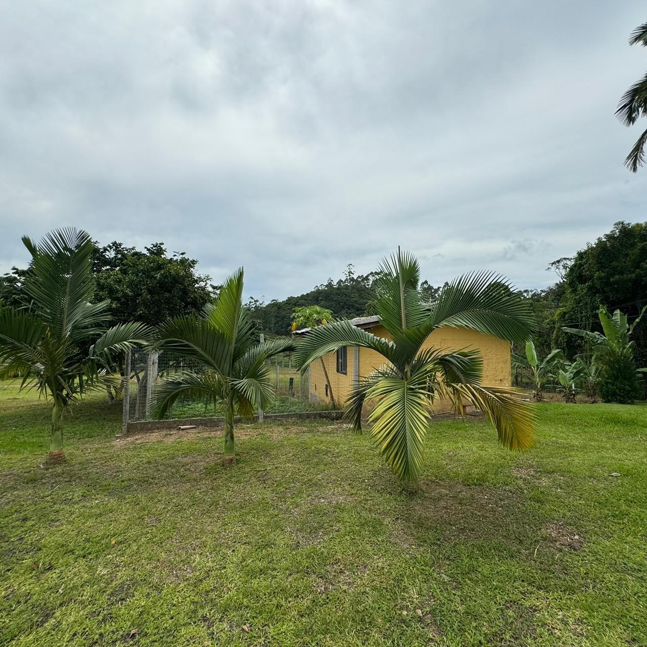 Fazenda à venda com 3 quartos, 21000m² - Foto 19