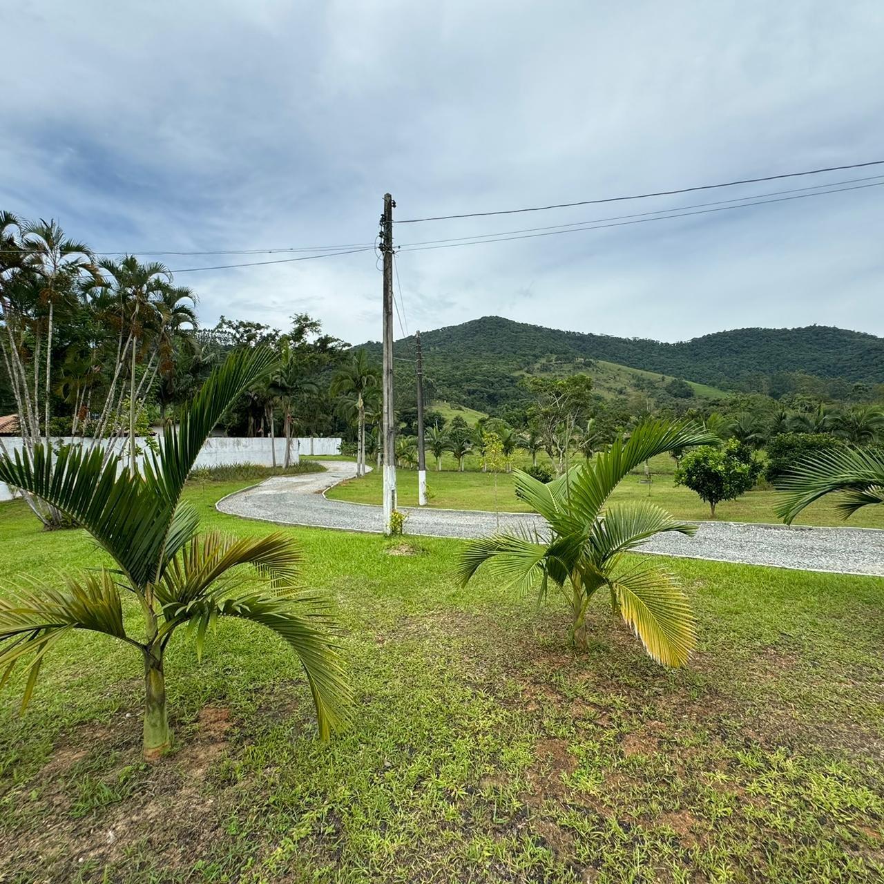 Fazenda à venda com 3 quartos, 21000m² - Foto 20