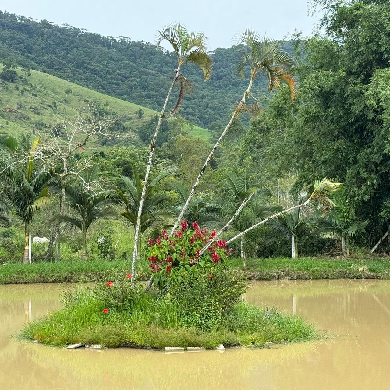 Fazenda à venda com 3 quartos, 21000m² - Foto 22