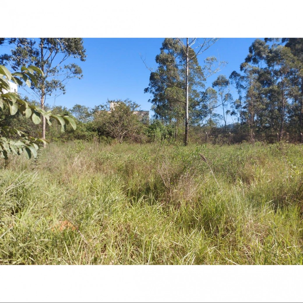 Terreno à venda, 18000m² - Foto 9