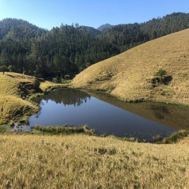 Fazenda para criação de gado  a venda em Imaruí